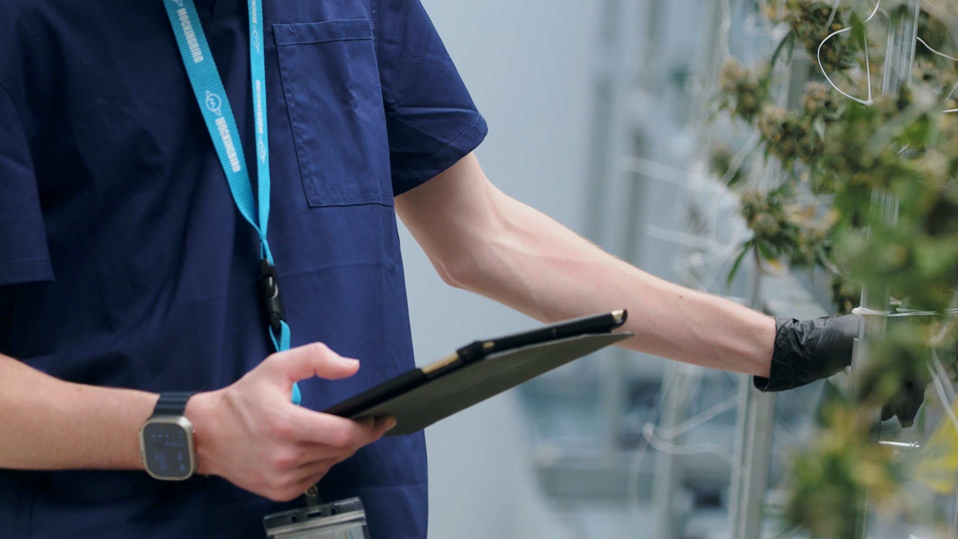 Why is supply air temp such a critical component of a successful grow?